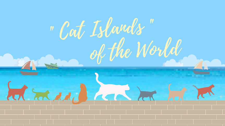 世界の猫島・猫スポット5選|「猫が多い島」と「保護施設のある島」は違う