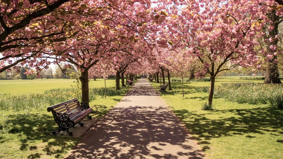 ロンドンの公園